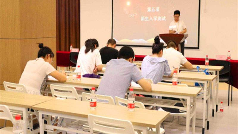 在线互动方案加盟代理：揭秘教育行业的新风口